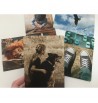 Jeu Photomô Junior - 48 cartes pour s'exprimer | Espace Inclusif