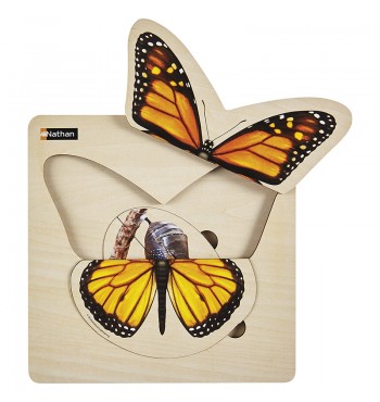 Puzzle Cycle de vie - Le papillon | Espace Inclusif