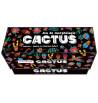 Cactus | Espace Inclusif