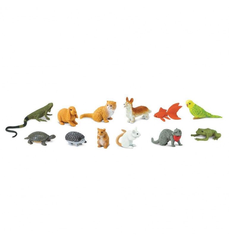 12 figurines animaux de compagnie | Espace Inclusif