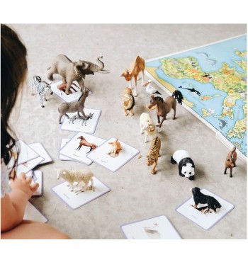 Mini-Mondy : Animaux | Espace Inclusif