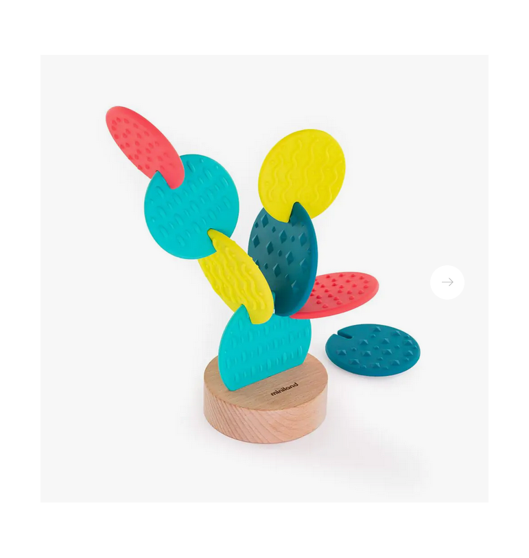 Cactus sensoriel | Espace Inclusif