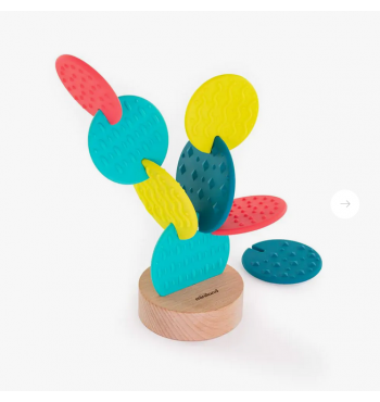 Cactus sensoriel