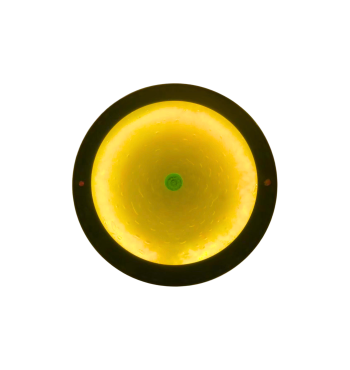 Table à bulles | Espace Inclusif