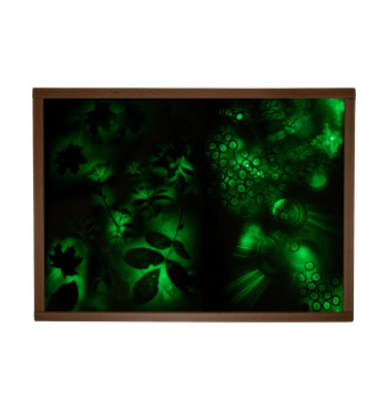 Plaque lumineuse phosphorescente | Espace Inclusif