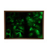 Plaque lumineuse phosphorescente | Espace Inclusif