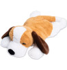 Chien lesté vibrant | Espace Inclusif