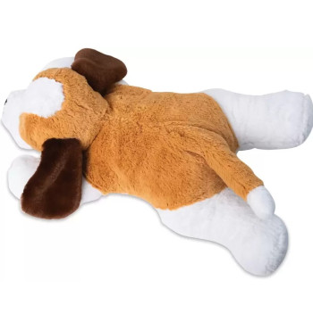 Chien lesté vibrant | Espace Inclusif
