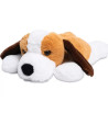 Chien lesté vibrant | Espace Inclusif