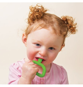 Mini Chew Knobby Original Vert | Espace Inclusif