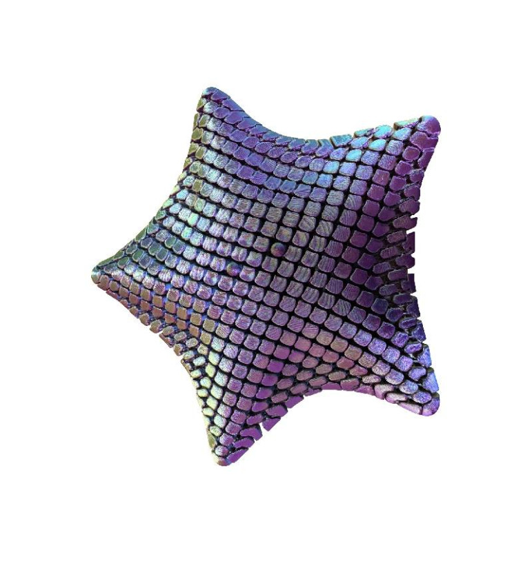 Fidget Étoile de mer 3D | Espace Inclusif
