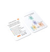 Jeux-outils É-mot-ion - Le lot fondamental | Espace Inclusif
