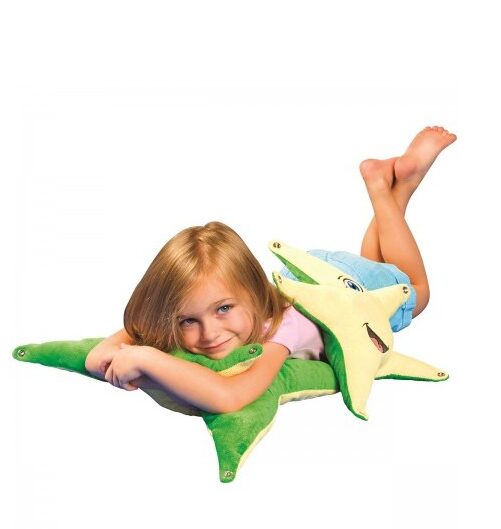 Cadeaux de Noël : Nos meilleures suggestions pour tous les budgets - Coussin étoile de mer